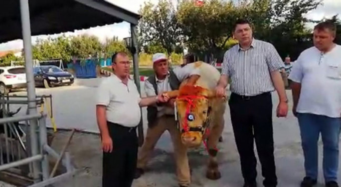 Cumhurbaşkanı Erdoğan'a kurbanlık gönderdi