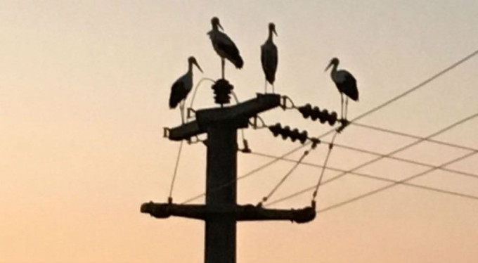 Bursa'da 10 köy elektriksiz kaldı!