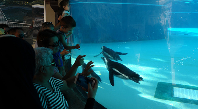 Kurban Bayramı'nda herkes oraya akın etti...