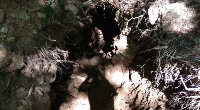 Bursa'da defineciler oraya dadandı!