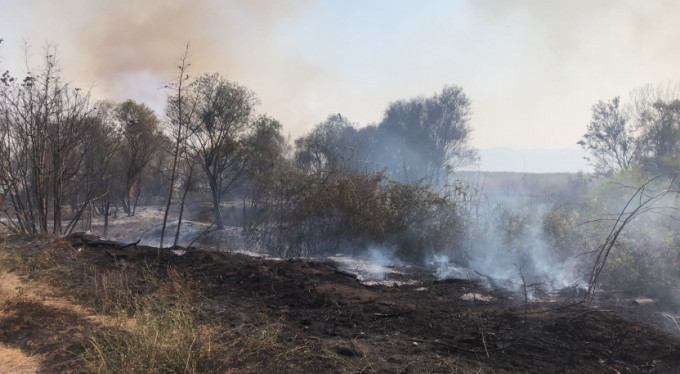 Bursa'da korkutan yangın!