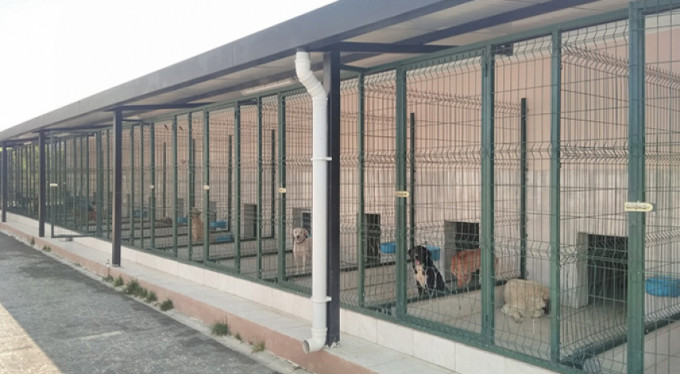 Bursa'da hayrete düşüren olay!