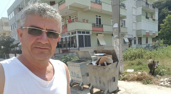 Bursa'da ilginç selfie! Yaban domuzları ile...