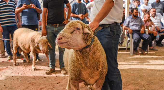 Bursa'da 15 bin liraya satıldı!