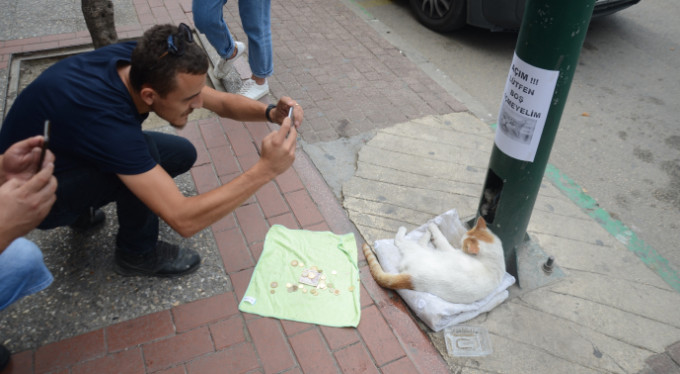 Bursa'nın fenomen kedisi!
