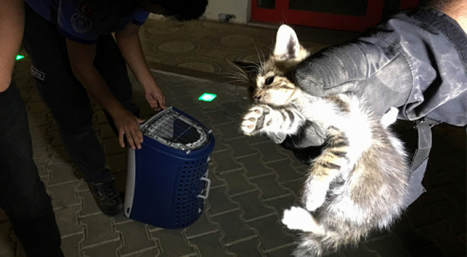 İtfaiye onun için seferber oldu!