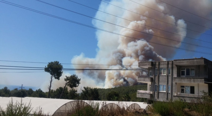 Büyük orman yangını! Ekipler müdahale ediyor...