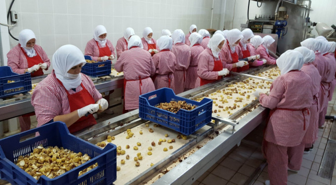 Avrupalıların ağzı Bursa kestanesiyle tatlanacak