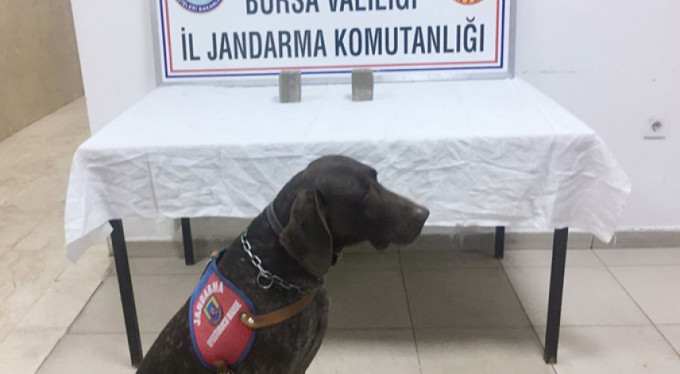 Bursa'da 60 bin liralık operasyon!