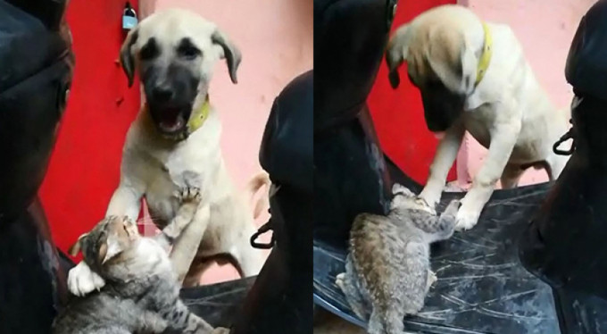 Bursa'da insanlara ders olacak görüntü!