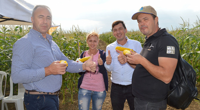 Türk tatlı mısır tohumu dünyanın gündeminde