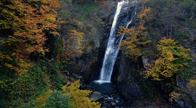Şehrin içinde çağlayan güzellik
