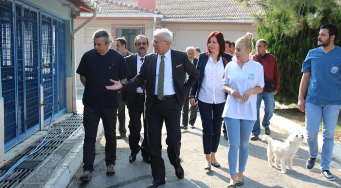 Vali yardımcısı can dostlarının yanında