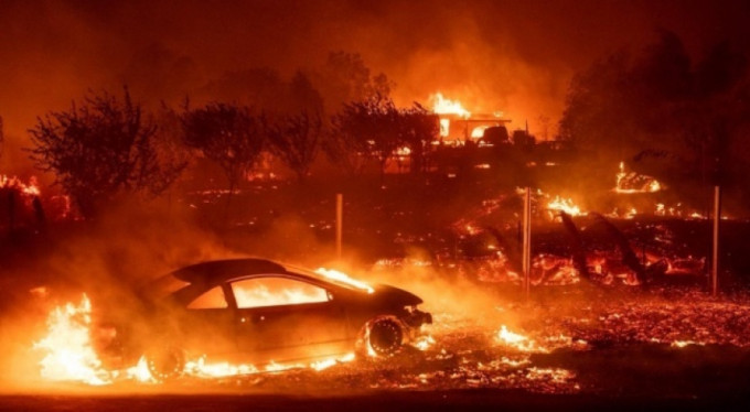ABD'de orman yangını: 9 ölü