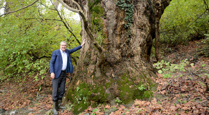 İnkaya çınarına "abi" geliyor