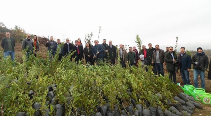 Öğretmenlerden doğaya 150 fidan