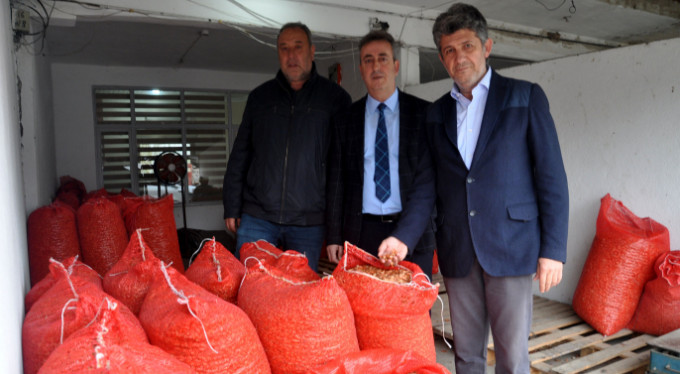 Geçen yıl çöpe giden arpacık soğanı bu sene 7 liradan satılıyor