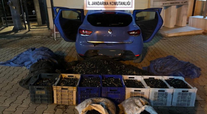 Bursa'da bir ton çaldılar!