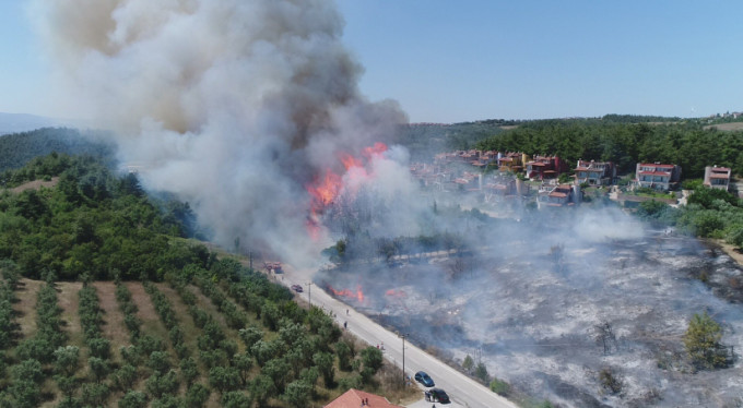 Bursa'da ilk fidanı Bakan dikecek!
