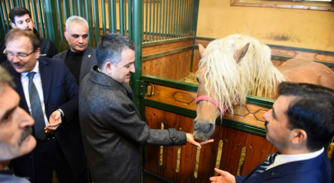 Bakan Pakdemirli Bursa'da atları besledi