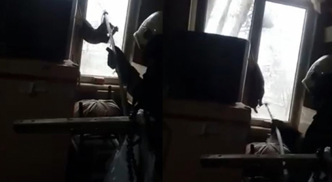 Bursa'da kedi için seferberlik!