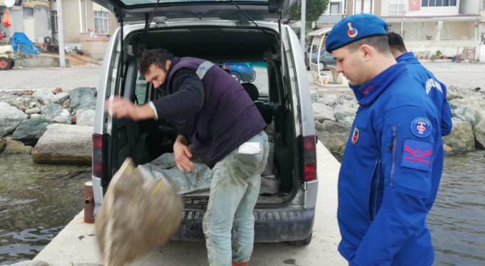 Bursa'da kaçak midye alarmı!