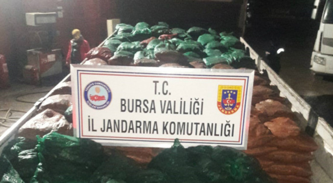 Bursa'da kaçak midye alarmı!