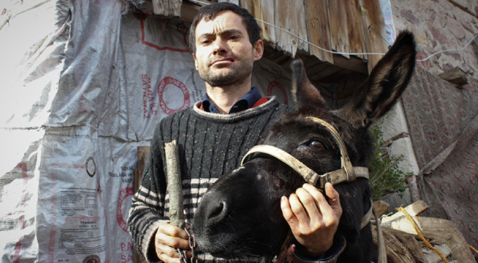 Bursa'da eşek dehşeti!