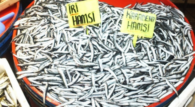 Balık tezgahlarında yüzde 200 indirim