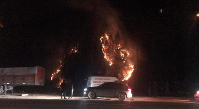 Kış ortasında orman yangını şoku