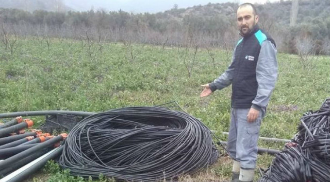 Bursa'da çiftçilerin korkulu rüyası oldular!