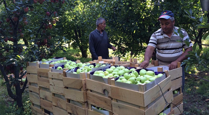 Erdoğan talimat vermişti! Satışına başlandı...