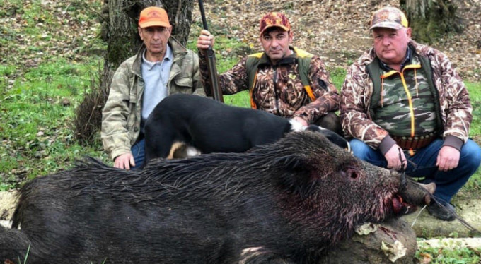 Bursa'da yaban domuzu dehşeti!