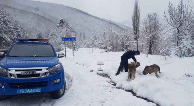 Mehmetçik'ten Bursa'da anlamı davranış