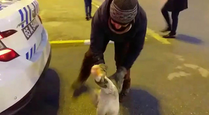 Sahibinin elinden kaçtı, trafiği birbirine kattı