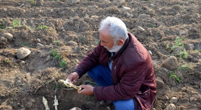 Böyle dolandırıcılık görülmedi! "Kralın hazinesi..."