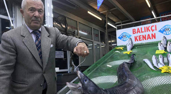 Görenleri hayrete düşürdü! Marmara'da bulundu...