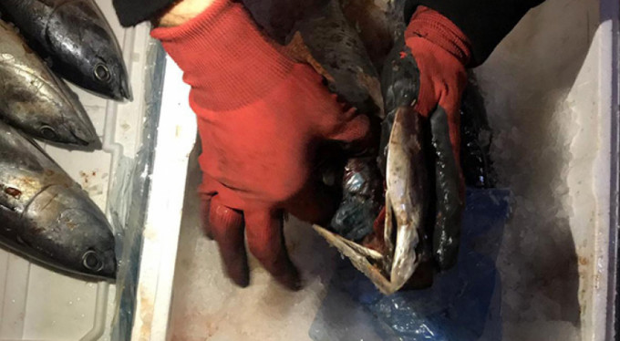 Polisleri bile şoke eden görüntü!