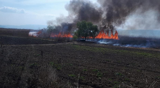 60 dönümlük alan alev alev yandı!