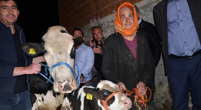 İneğinin arkasından gözyaşı dökmüştü...
