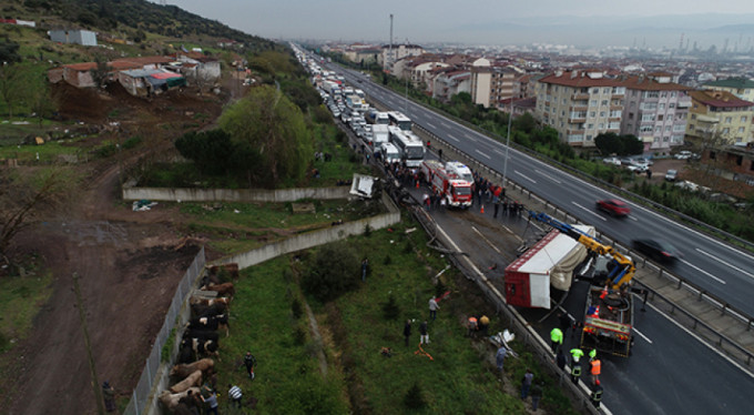Hayvanları yola savurdu, trafiği kapattı!