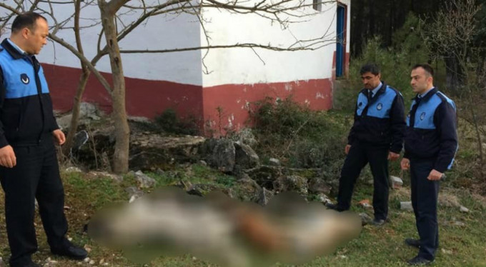 Bursa'da vahşet! Bu nasıl insanlık?