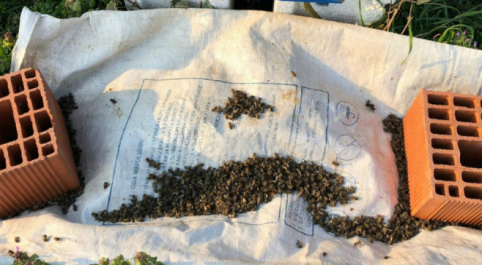 Bursa'da milyonlarcası öldü! Çağrı yapıldı...