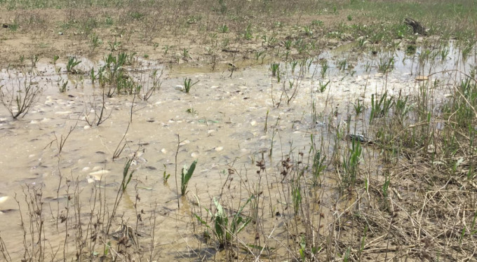 Bursa'da içler acısı manzara!