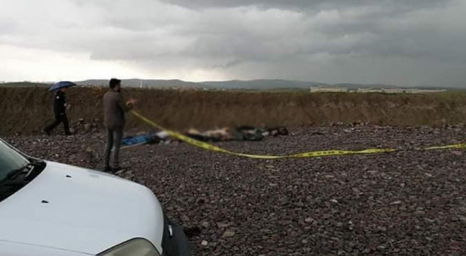 Ankara'da yine köpek katliamı!