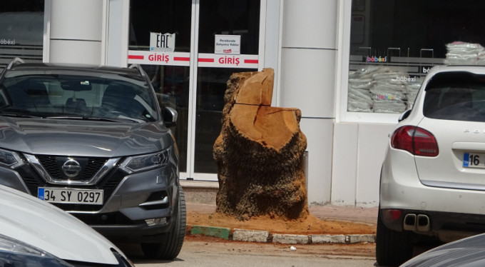 Bursa'da büyük tepki çeken olay!