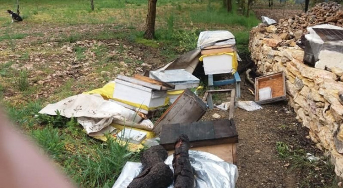 Kış uykusundan uyandılar, köye dadandılar