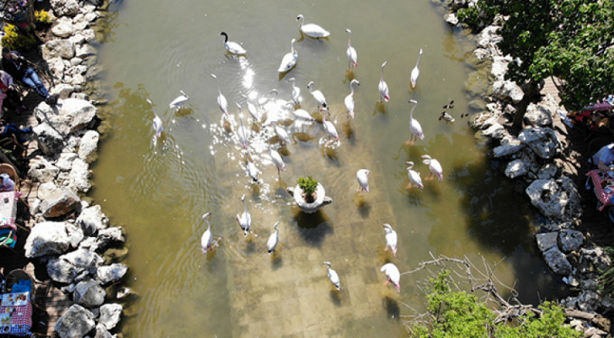 Anneler Günü'nde ziyaretçi akınına uğradı