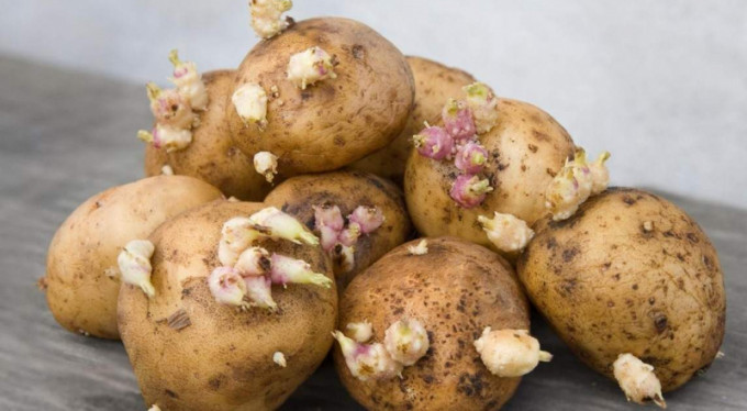 Uzmanı uyardı...Dikkat öldürebilir