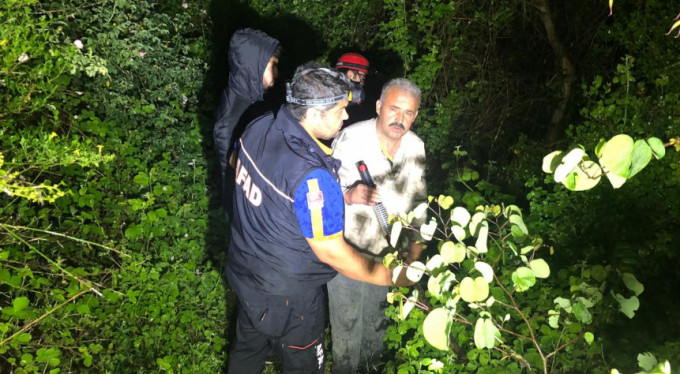 Bursa'da kayıp alarmı! Ormana gitti ama...